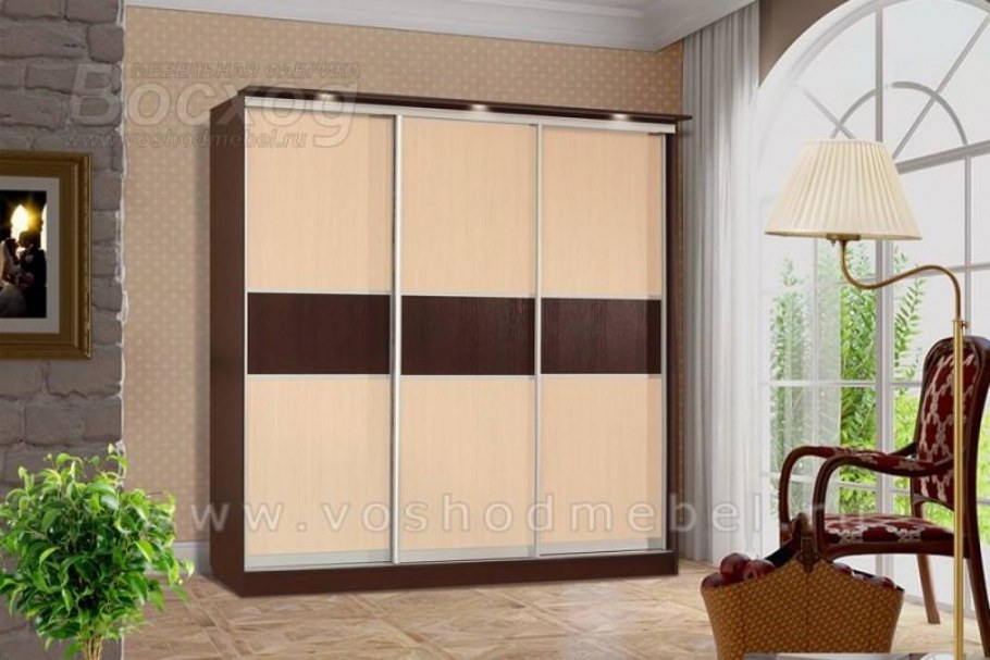 Шкаф-купе "Рид 3 - 400а" (t3)