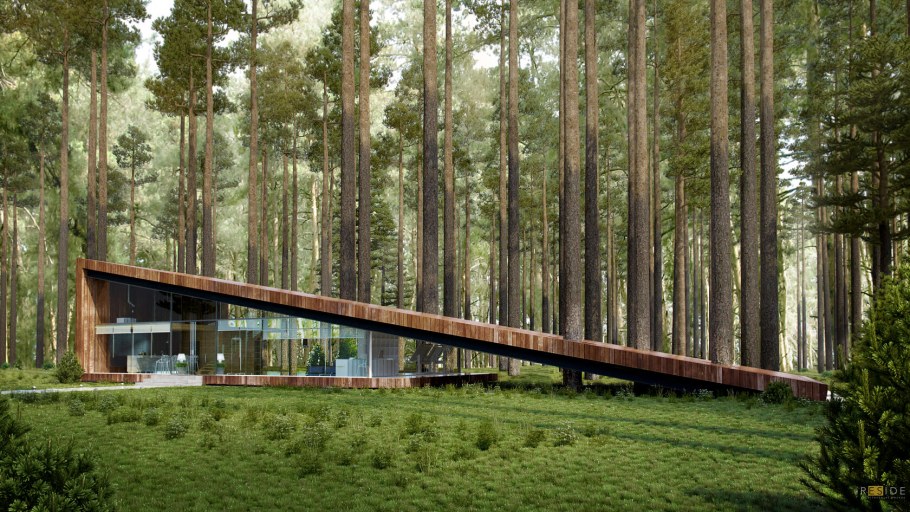 Сосны Николина гора дома с квартирами белые