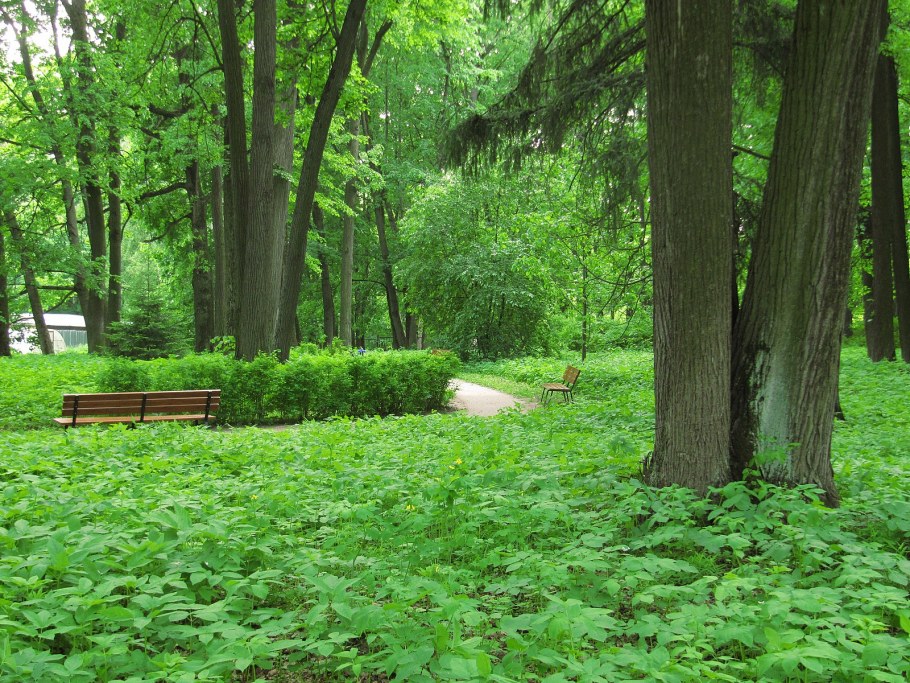 Остафьево новый микрорайон