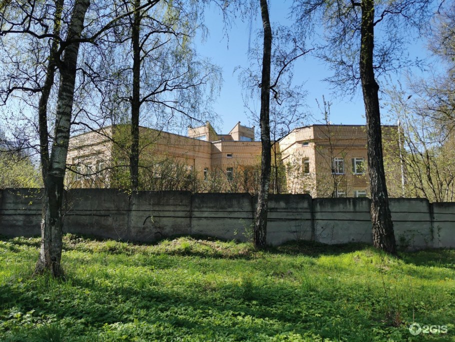 Летние активности