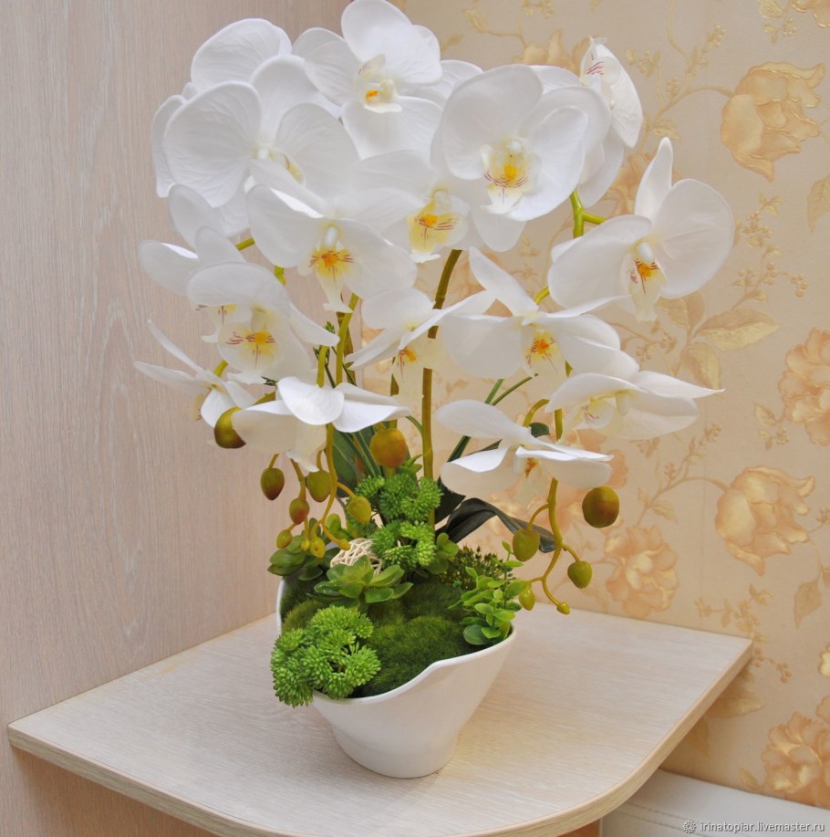 Интерьерные композиции из орхидей