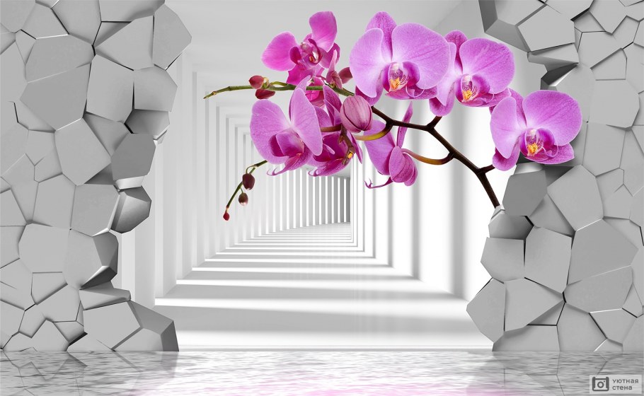 Орхидея твистер