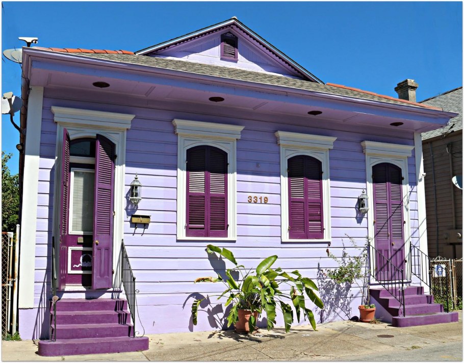 Что такое New Orleans Purple