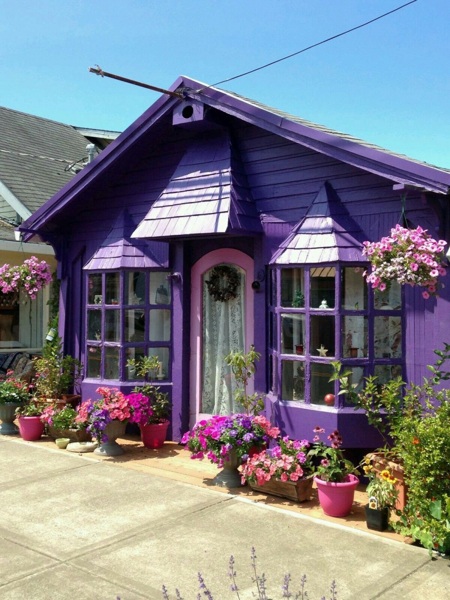 Фиолетовый дом