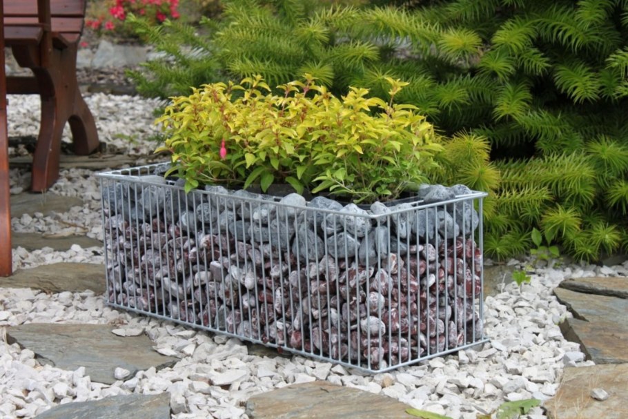 Габионы клумбы