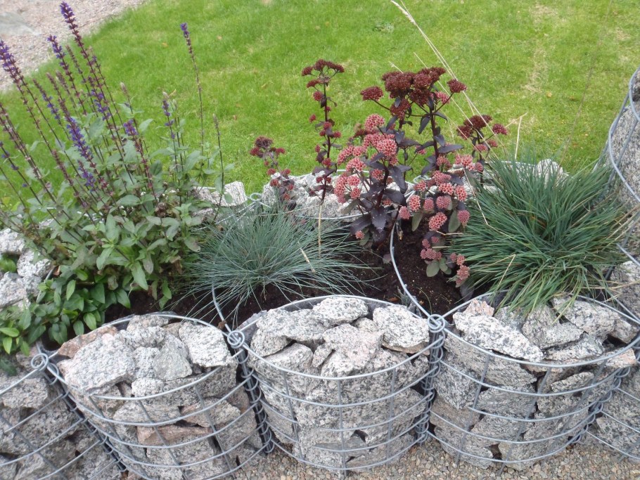 Грядки из габионов