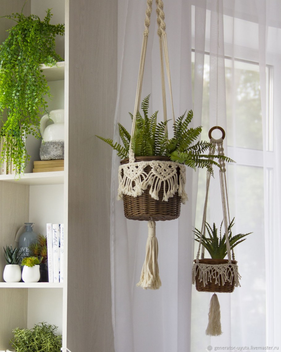 Суккуленты ikea