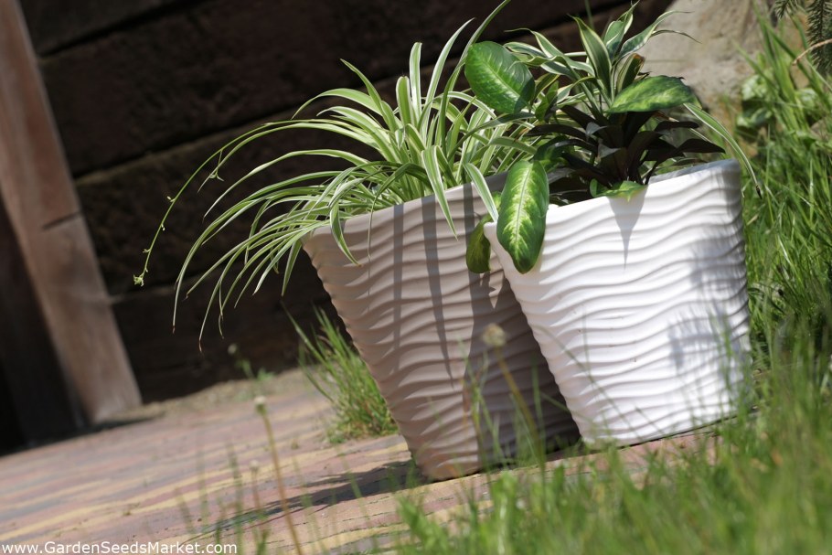 Кашпо Prosperplast send, dbsa400 s449, белый, 40 х 40 х 44 см