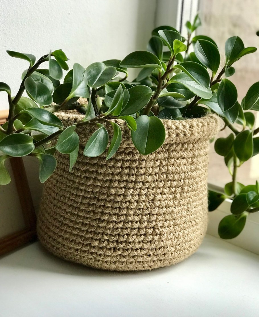 Вязаные кашпо