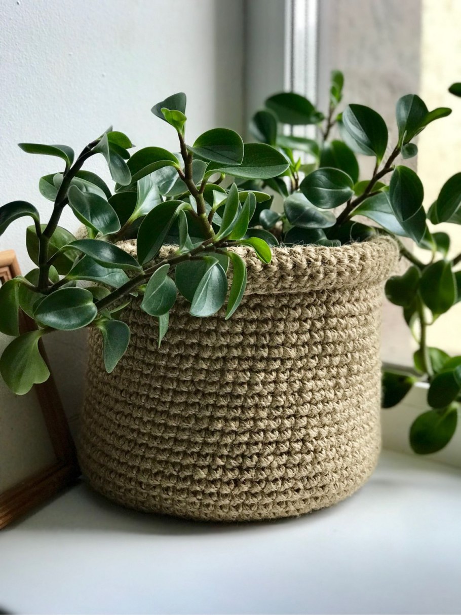 Дизайнерские горшки для цветов