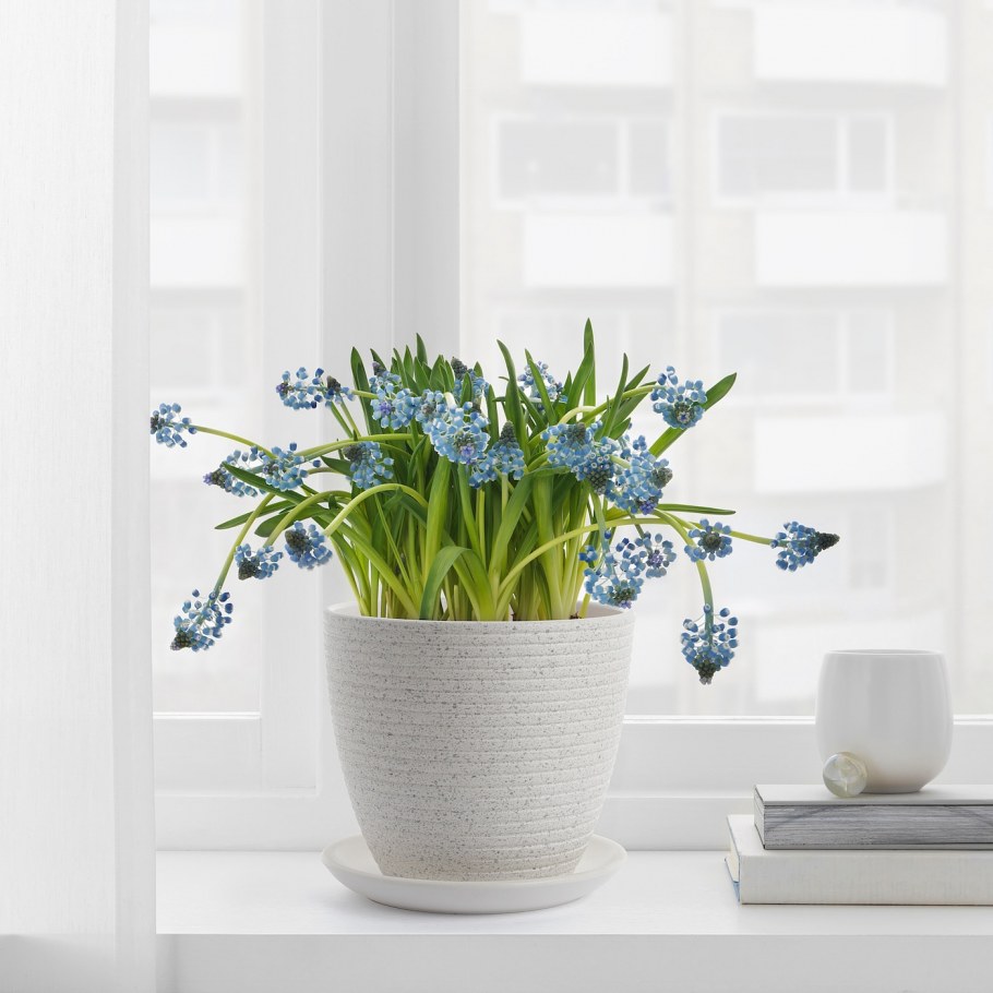 Кашпо МУСКОТ белый 12 см