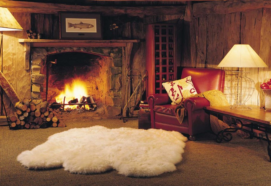 Шкура у камина