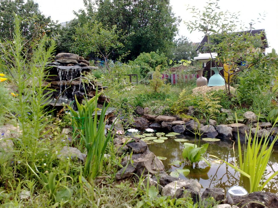 Альпийская горка с болотом