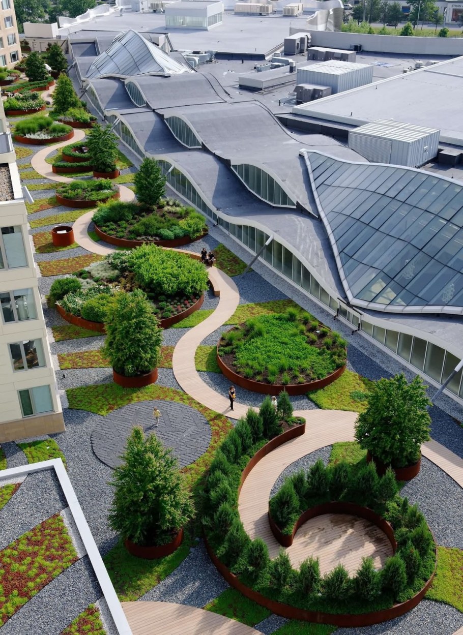 Марта Шварц ландшафтный Архитектор