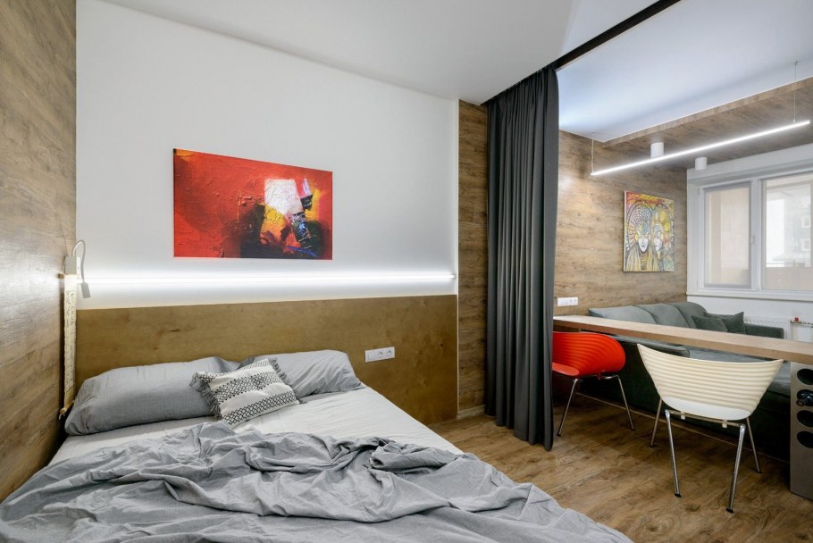 Гостиная с кроватью и диваном