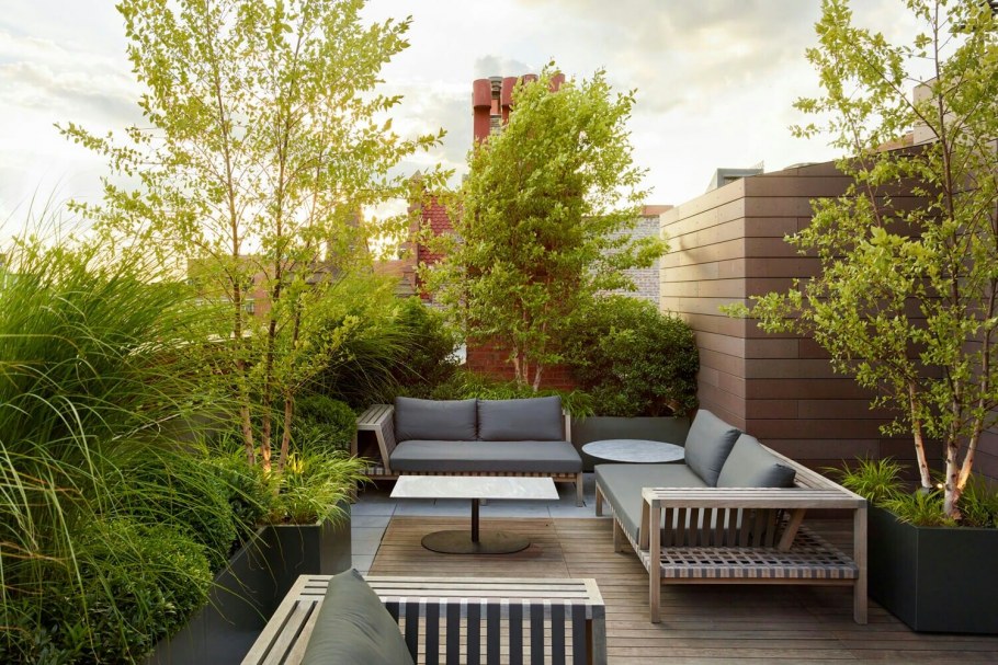 Озеленение террасы в саду