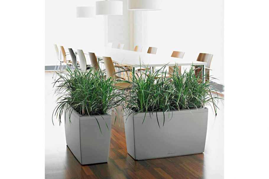 Кашпо Lechuza Cararo