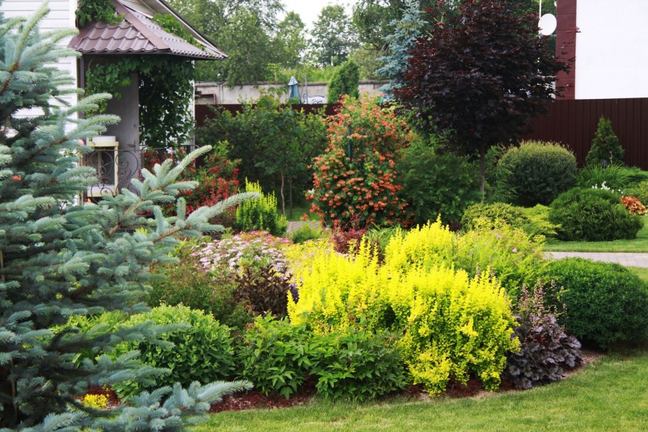 Сад из хвойников и лиственных кустарников