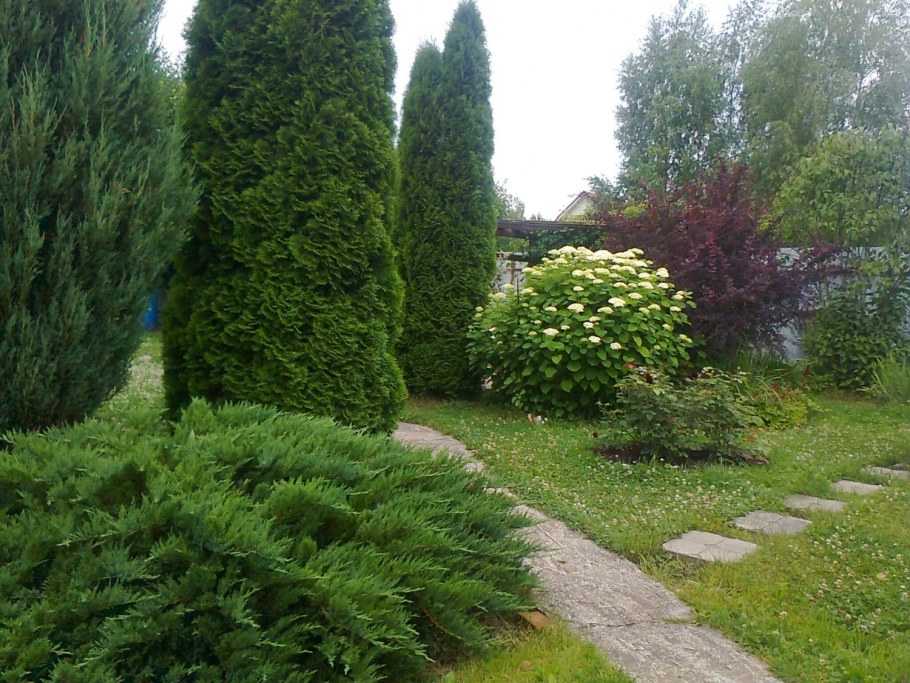 Огородный миксбордер