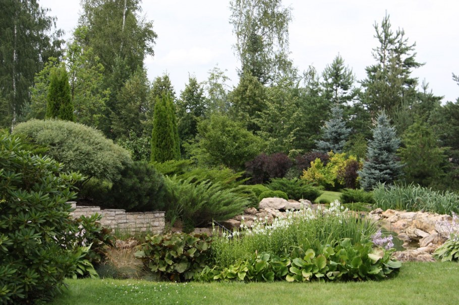 Хвойные рабатки