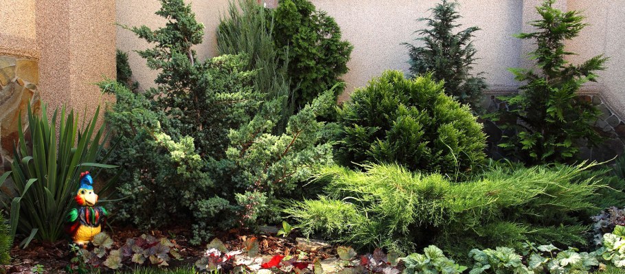 Хвойно Вересковый миксбордер