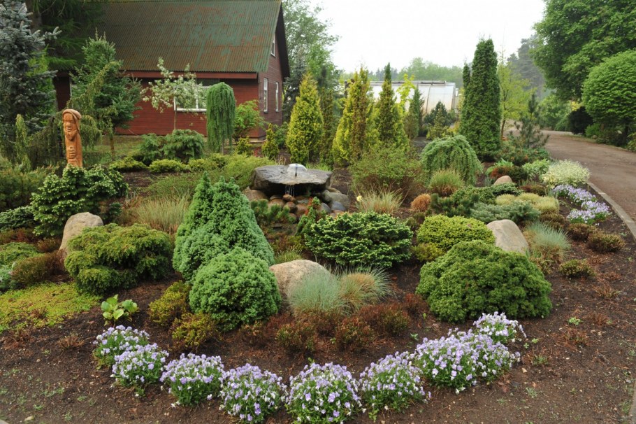 Туя Смарагд,можжевельник казацкий,Горная сосна-клумба