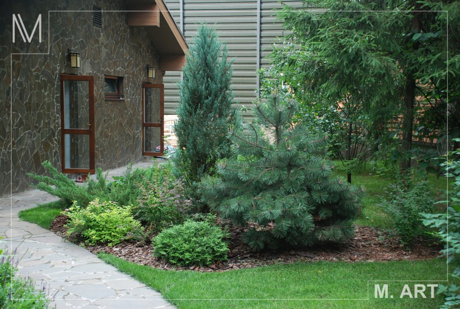 Туя Смарагд , гортензия, астильба клумба