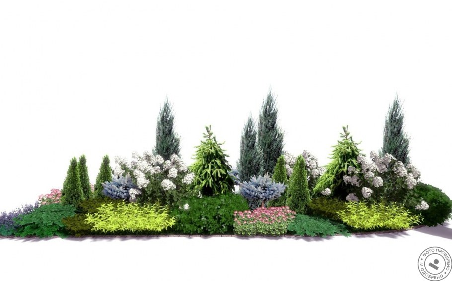 Клумба с туей барбарисом и можжевельником
