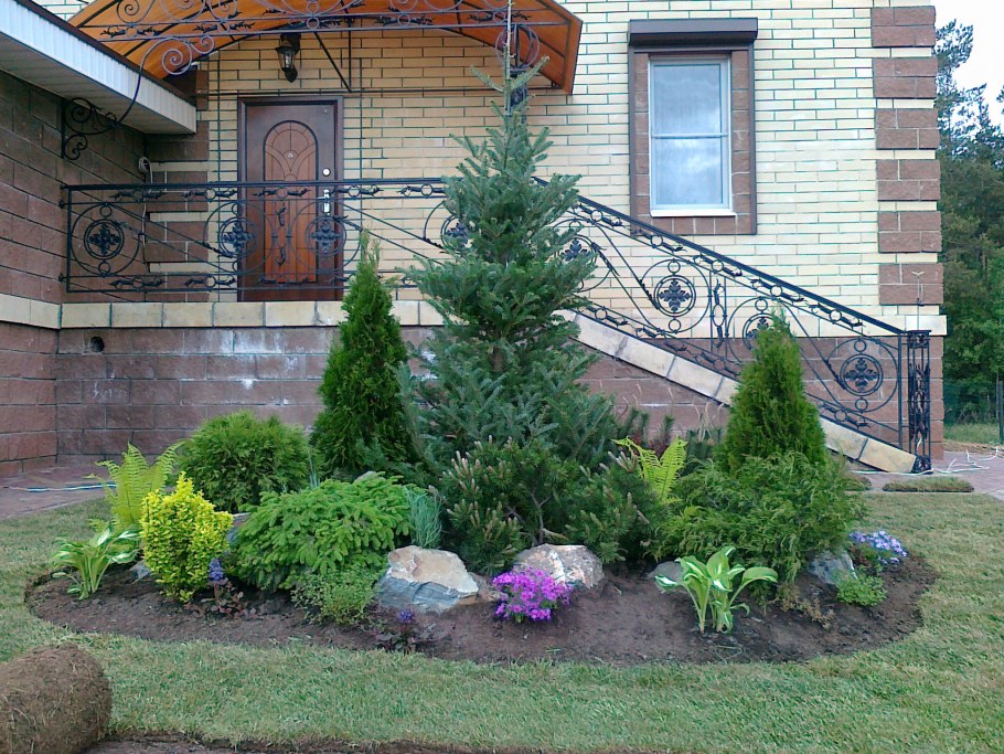 Бархатцы и хвойники в композиции