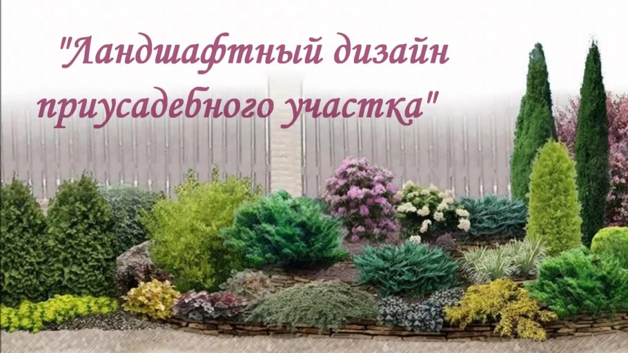 Можжевельник казацкий и спирея