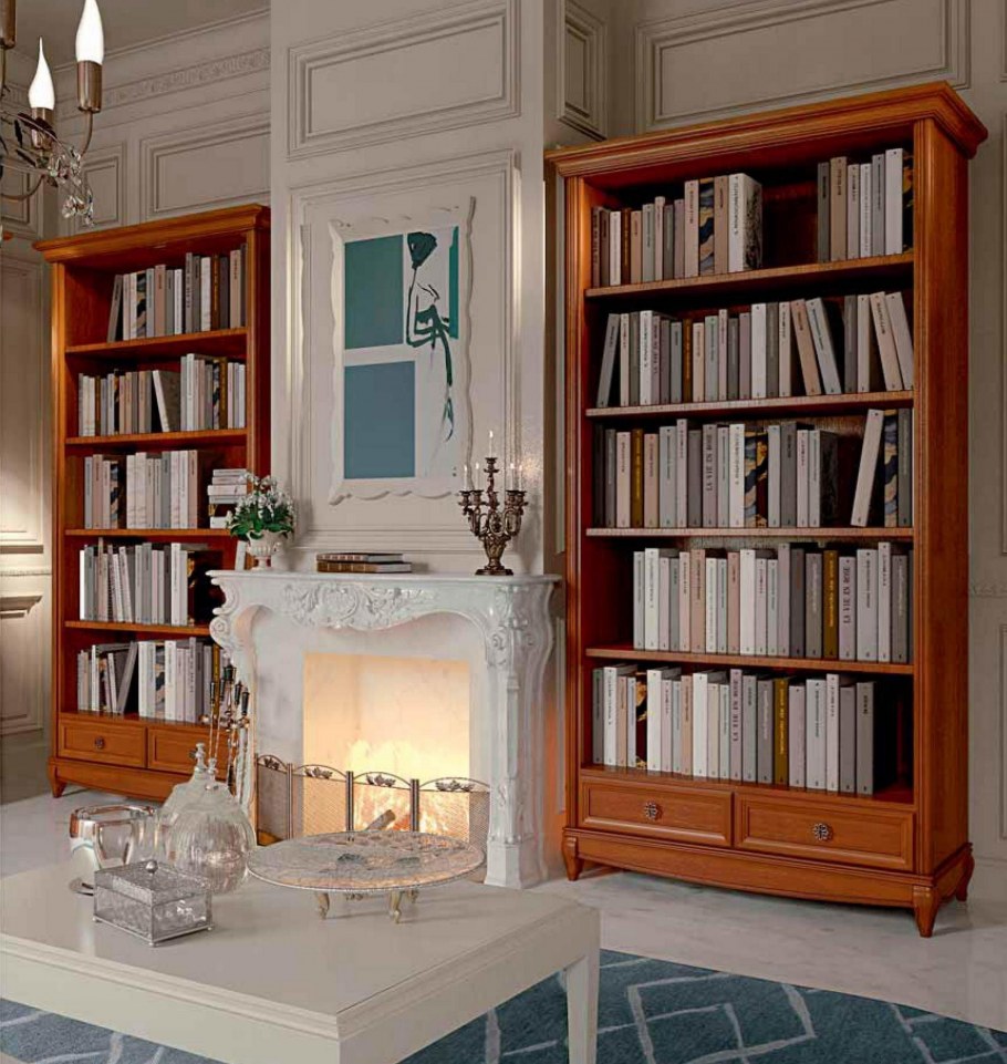 Гостиная с книжным шкафом