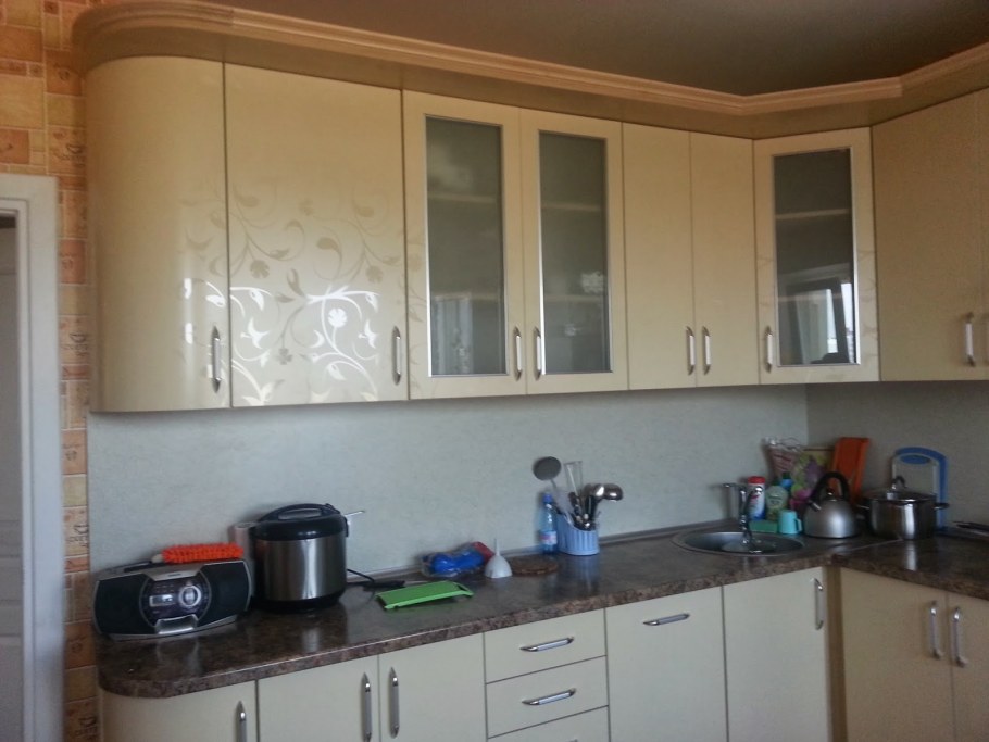 Кухня Ницца Леруа Мерлен