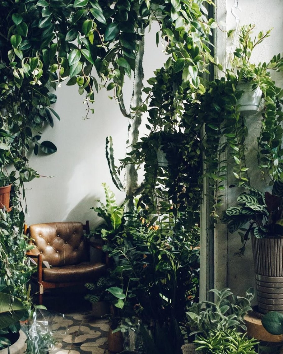 Fejka фейка искусственное растение в горшке, д/дома/улицы/подвесной 9см