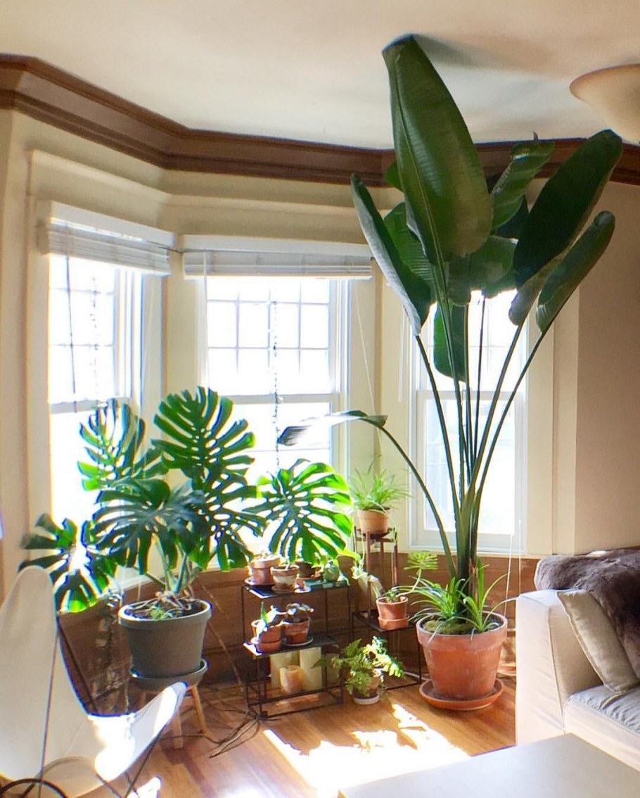 Урбан Джангл интерьер