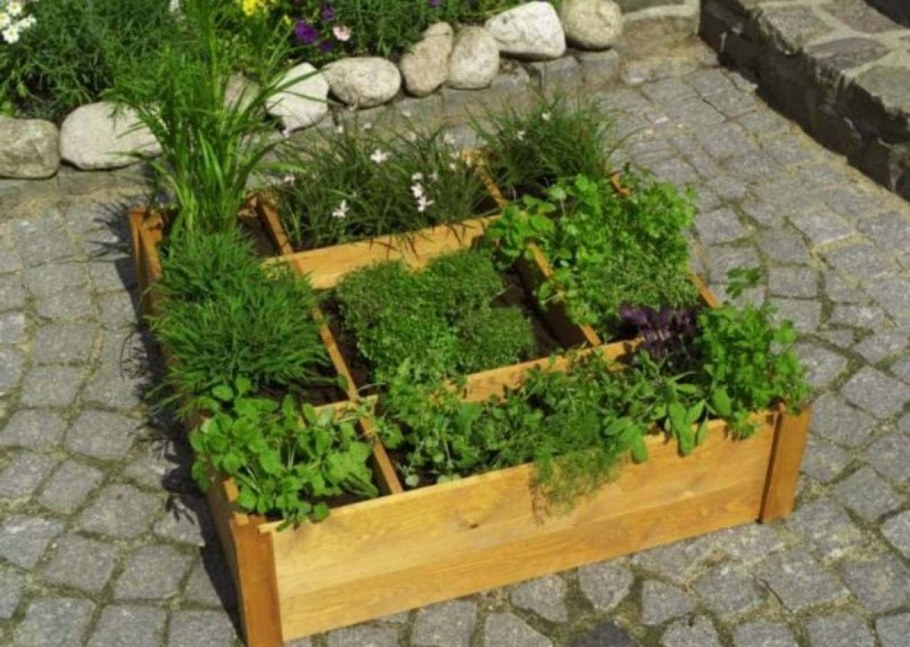 Грядки для зелени