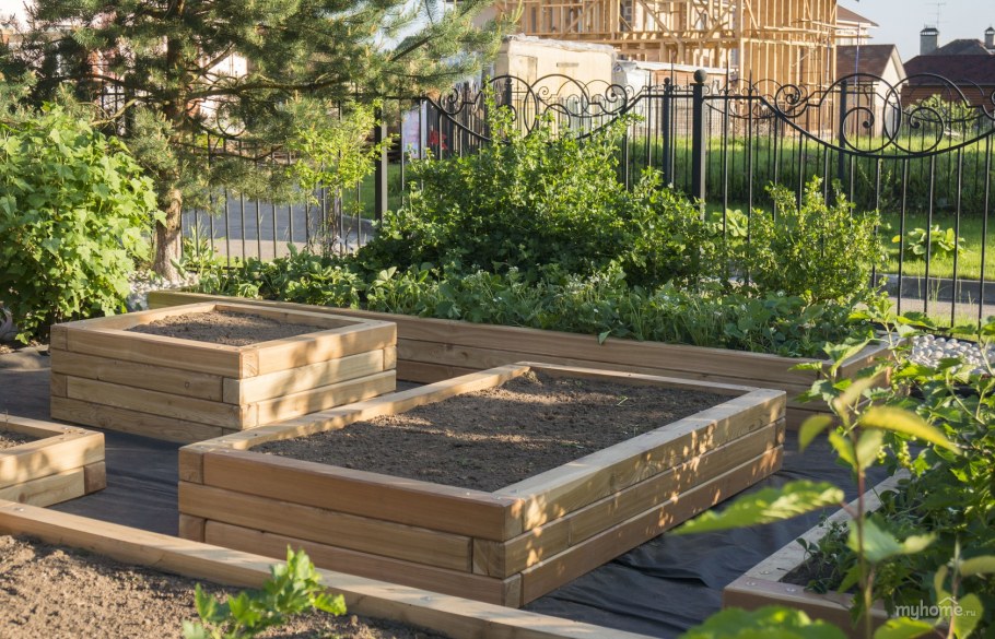 Грядки из лиственницы