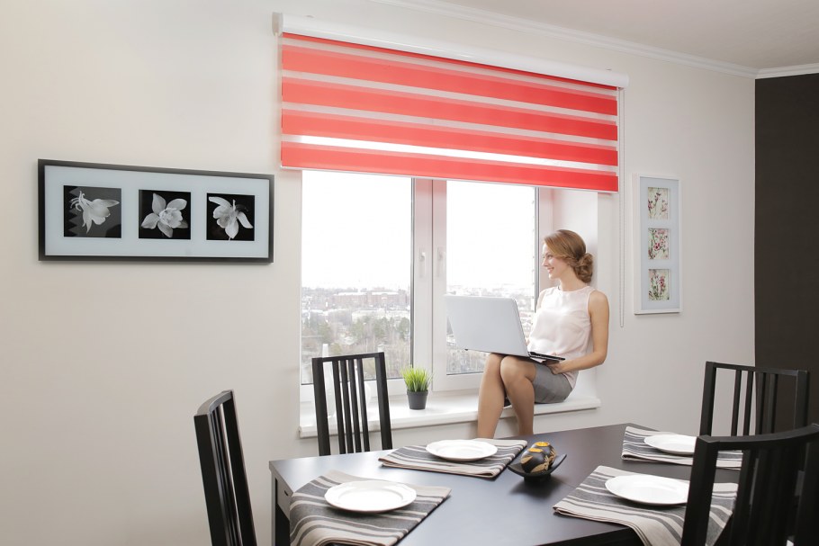 Плиссе Delfa 52х160см