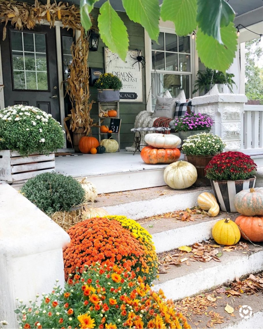 Тыквы на веранде