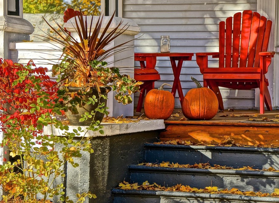 Осенний декор двора