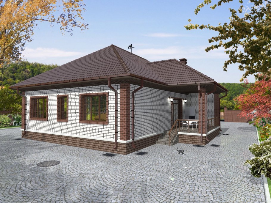 Дом одноэтажные скрилцом