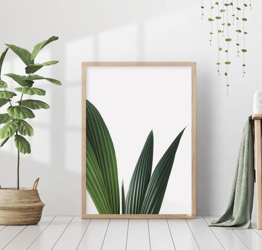 Наклейки на стену тропические листья