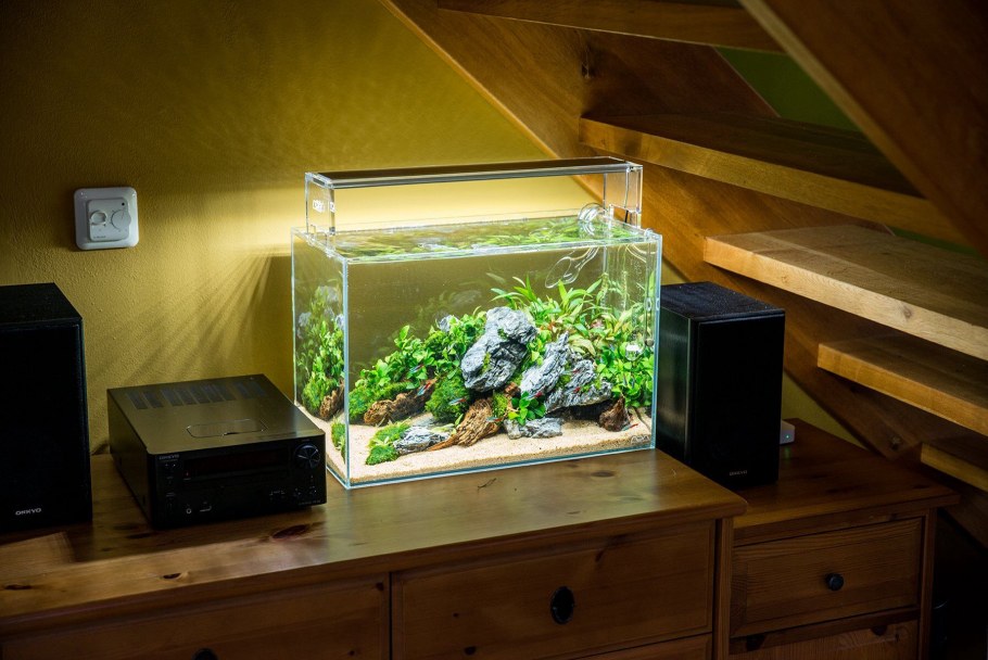 Красивые маленькие аквариумы