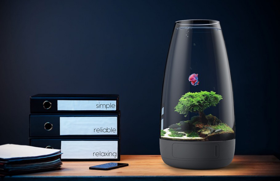 Необычные аквариумы в интерьере