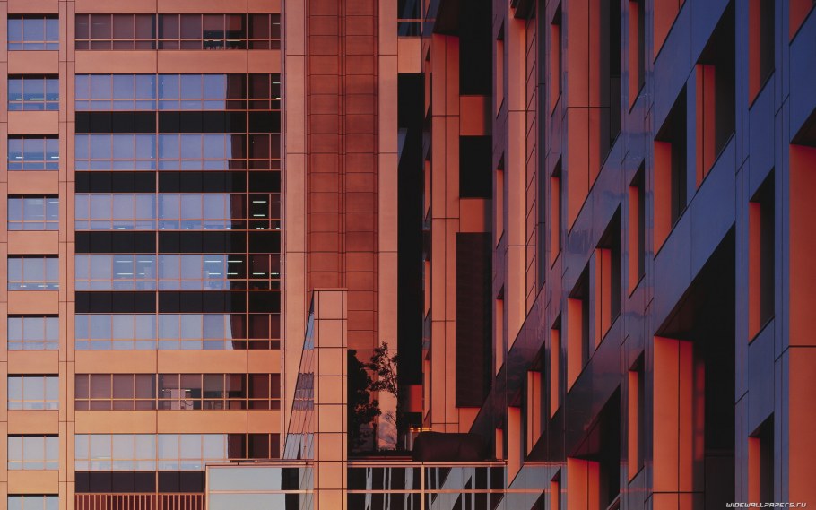 Архитектура Эстетика