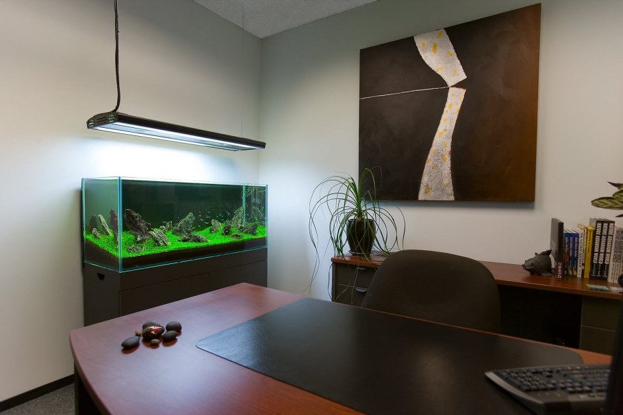 Аквариум в офисе