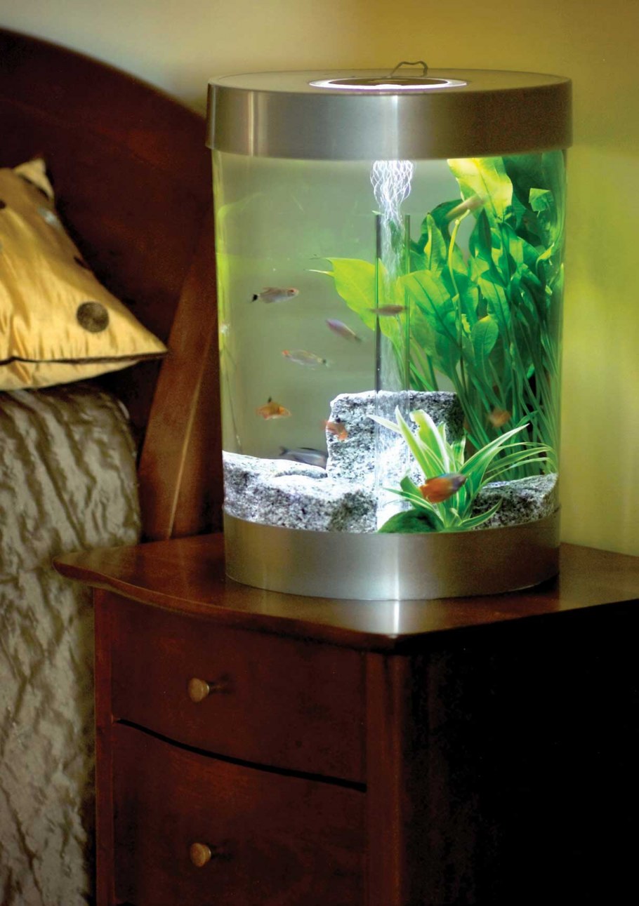 Дизайн аквариума