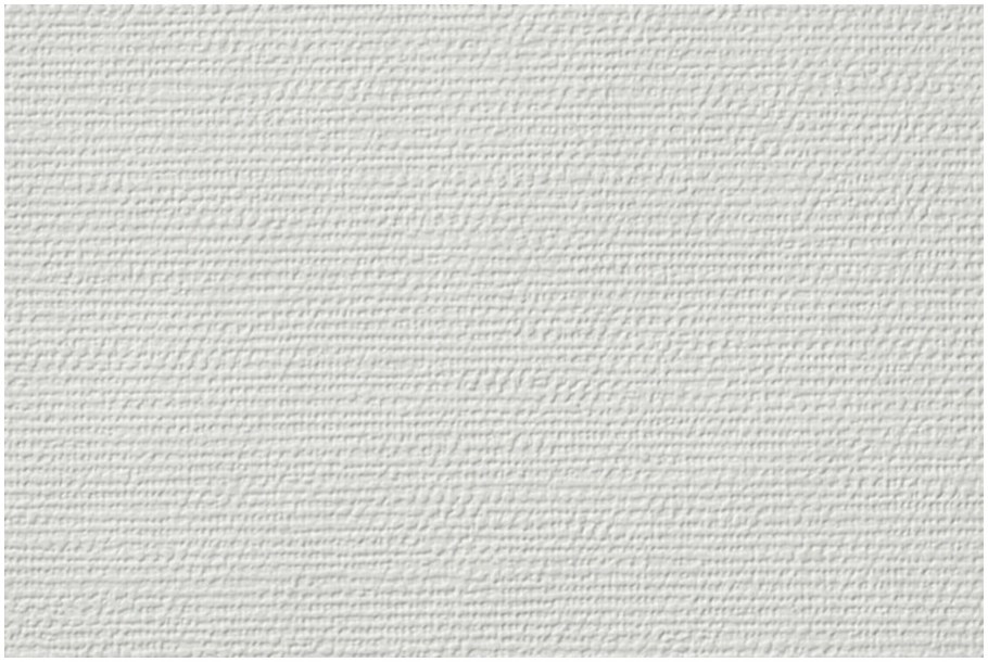 Erfurt Vliesfaser 717