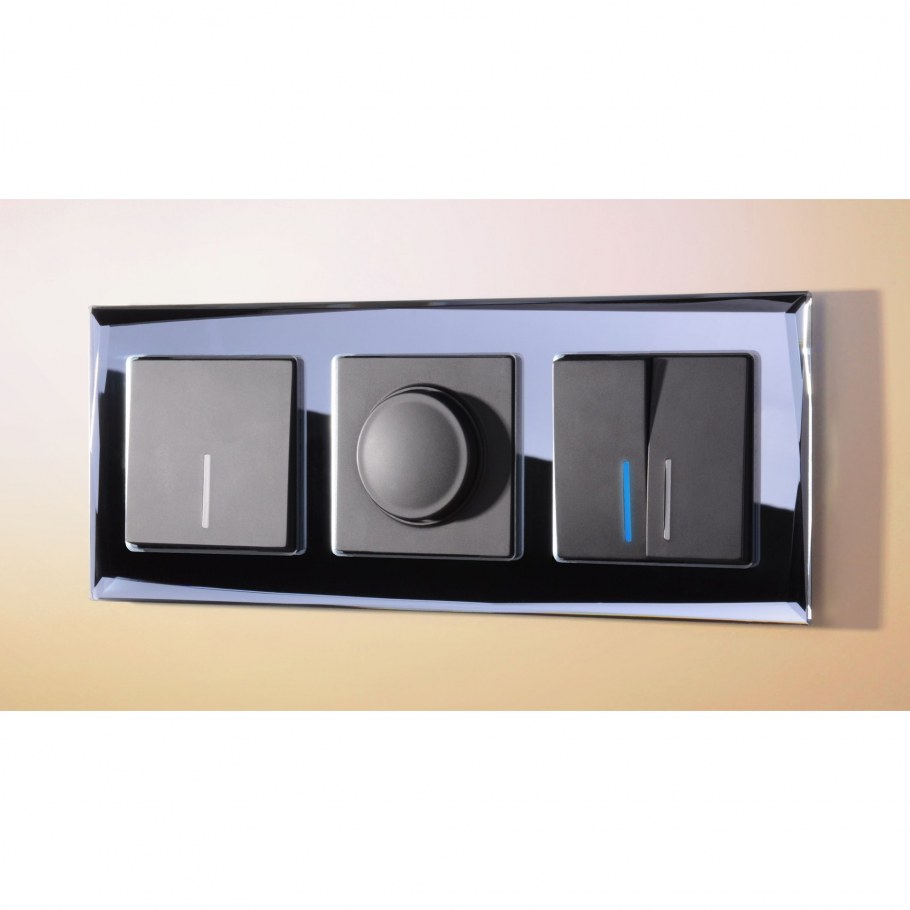 Диммер Werkel wl08-dm600