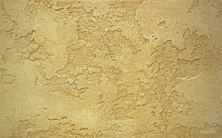 Короед венецианка