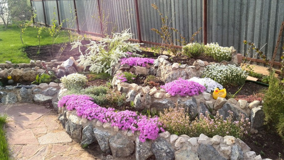 Каменистые сады Альпийская горка